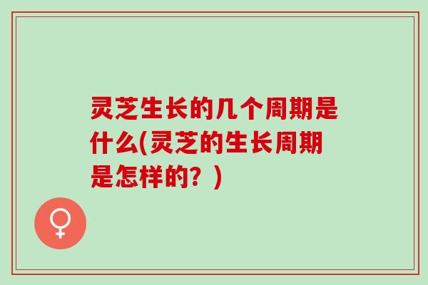 灵芝生长的几个周期是什么(灵芝的生长周期是怎样的？)
