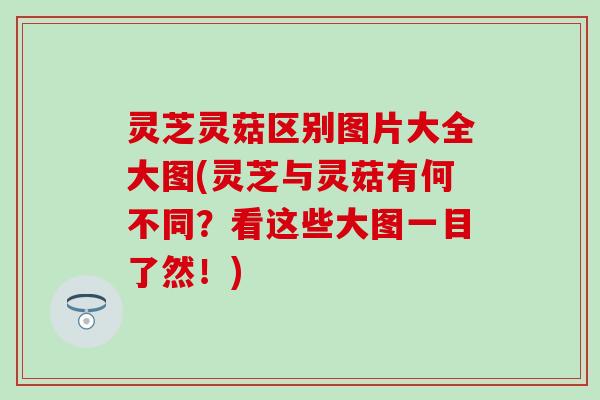 灵芝灵菇区别图片大全大图(灵芝与灵菇有何不同？看这些大图一目了然！)