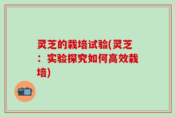 灵芝的栽培试验(灵芝：实验探究如何高效栽培)