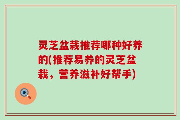 灵芝盆栽推荐哪种好养的(推荐易养的灵芝盆栽，营养滋补好帮手)