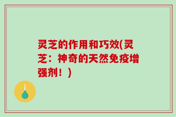 灵芝的作用和巧效(灵芝：神奇的天然免疫增强剂！)