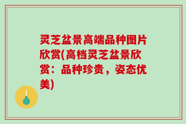 灵芝盆景高端品种图片欣赏(高档灵芝盆景欣赏：品种珍贵，姿态优美)