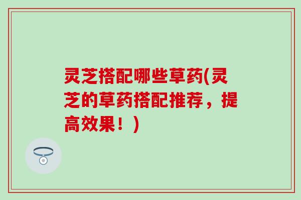 灵芝搭配哪些草药(灵芝的草药搭配推荐，提高效果！)