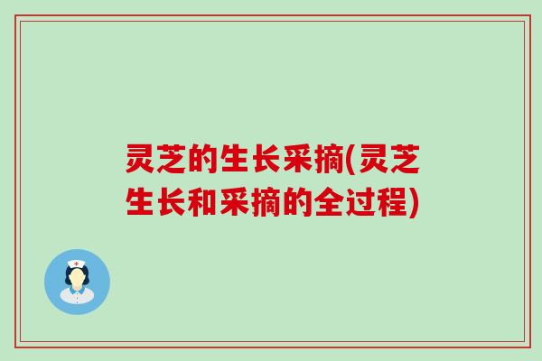 灵芝的生长采摘(灵芝生长和采摘的全过程)