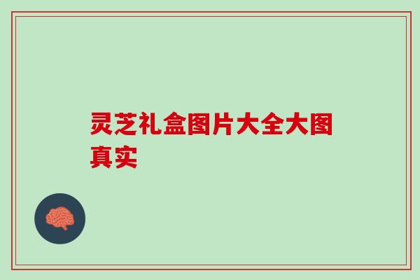 灵芝礼盒图片大全大图真实