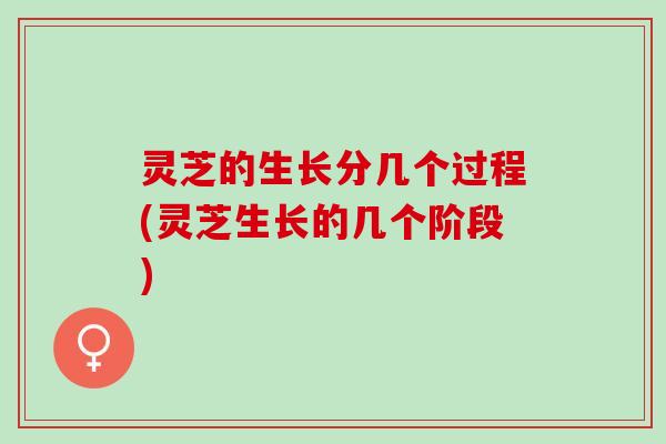 灵芝的生长分几个过程(灵芝生长的几个阶段)