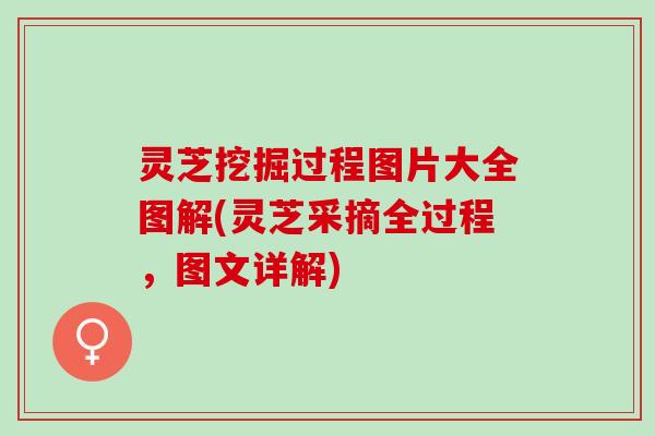 灵芝挖掘过程图片大全图解(灵芝采摘全过程，图文详解)