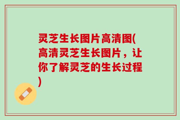 灵芝生长图片高清图(高清灵芝生长图片，让你了解灵芝的生长过程)