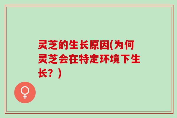 灵芝的生长原因(为何灵芝会在特定环境下生长？)