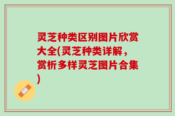 灵芝种类区别图片欣赏大全(灵芝种类详解，赏析多样灵芝图片合集)