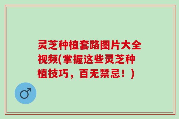灵芝种植套路图片大全视频(掌握这些灵芝种植技巧，百无禁忌！)