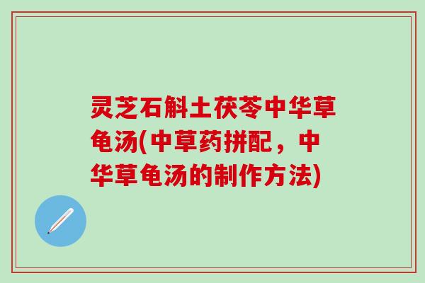 灵芝石斛土茯苓中华草龟汤(中草药拼配，中华草龟汤的制作方法)