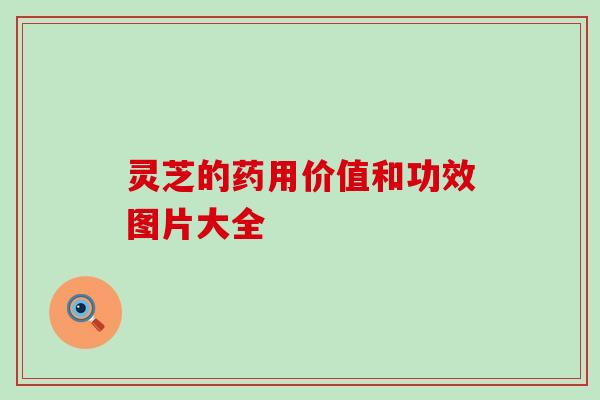 灵芝的药用价值和功效图片大全