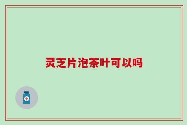 灵芝片泡茶叶可以吗