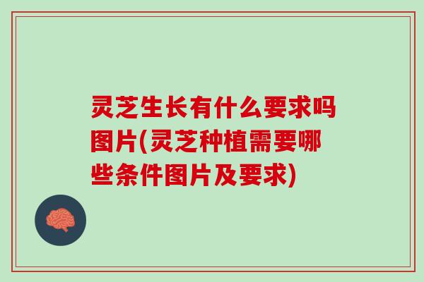 灵芝生长有什么要求吗图片(灵芝种植需要哪些条件图片及要求)