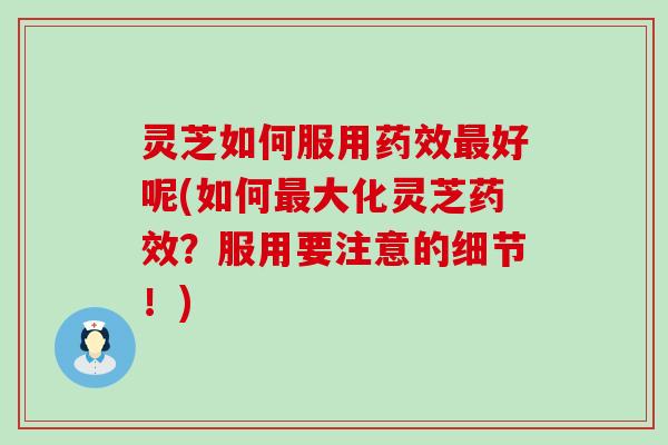 灵芝如何服用药效最好呢(如何最大化灵芝药效？服用要注意的细节！)