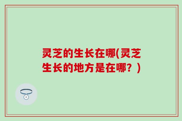 灵芝的生长在哪(灵芝生长的地方是在哪？)