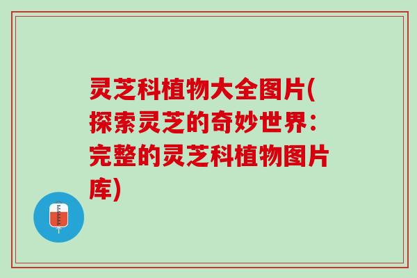 灵芝科植物大全图片(探索灵芝的奇妙世界：完整的灵芝科植物图片库)