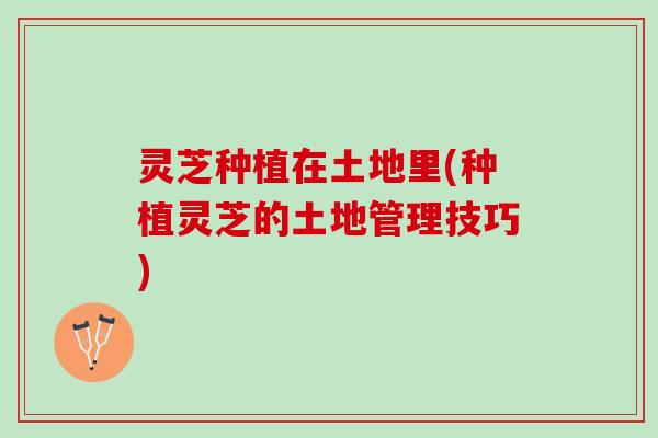 灵芝种植在土地里(种植灵芝的土地管理技巧) 灵芝种植在土地里(种植灵芝的土地管理技巧)