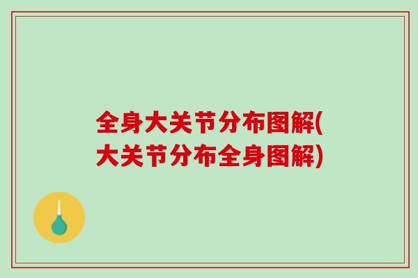 全身大关节分布图解(大关节分布全身图解)