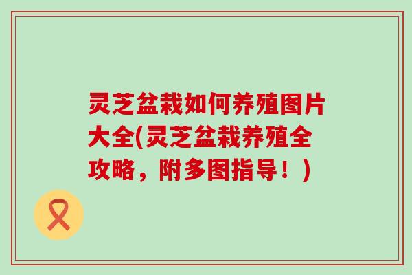 灵芝盆栽如何养殖图片大全(灵芝盆栽养殖全攻略，附多图指导！)