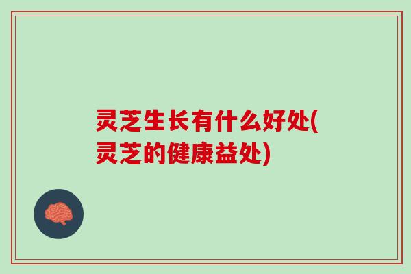 灵芝生长有什么好处(灵芝的健康益处)