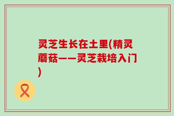 灵芝生长在土里(精灵蘑菇——灵芝栽培入门)