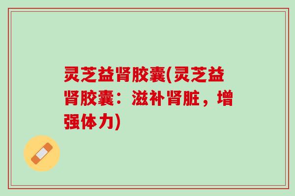 灵芝益肾胶囊(灵芝益肾胶囊：滋补肾脏，增强体力)