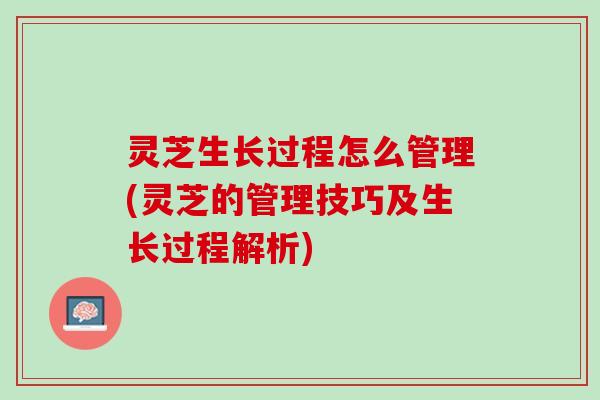 灵芝生长过程怎么管理(灵芝的管理技巧及生长过程解析)