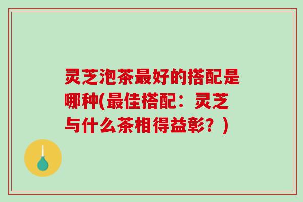 灵芝泡茶最好的搭配是哪种(最佳搭配：灵芝与什么茶相得益彰？)