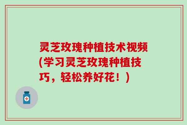 灵芝玫瑰种植技术视频(学习灵芝玫瑰种植技巧，轻松养好花！)