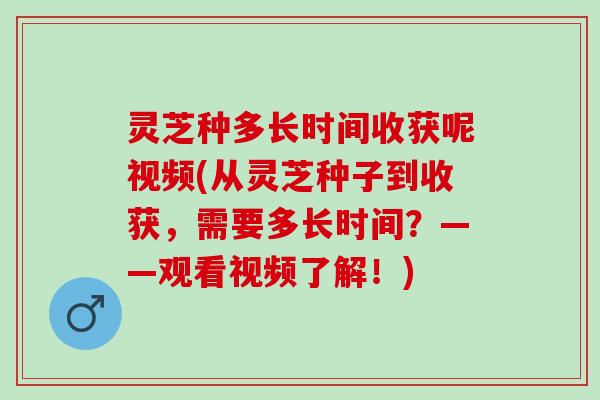 灵芝种多长时间收获呢视频(从灵芝种子到收获，需要多长时间？——观看视频了解！)