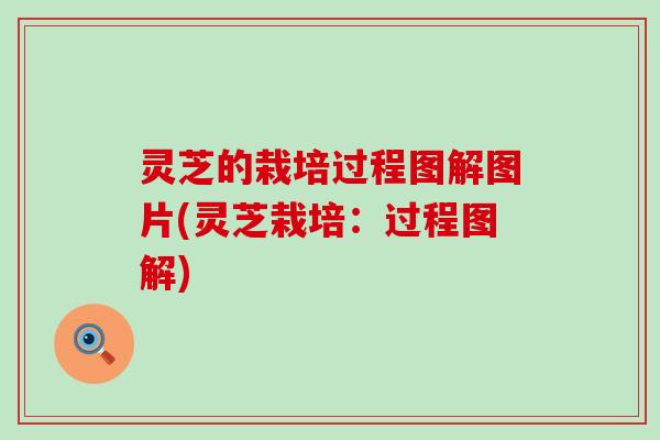 灵芝的栽培过程图解图片(灵芝栽培：过程图解)