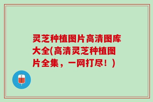 灵芝种植图片高清图库大全(高清灵芝种植图片全集，一网打尽！)