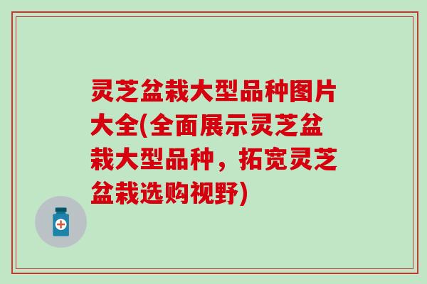 灵芝盆栽大型品种图片大全(全面展示灵芝盆栽大型品种，拓宽灵芝盆栽选购视野)