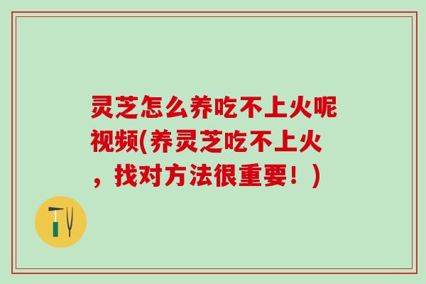 灵芝怎么养吃不上火呢视频(养灵芝吃不上火，找对方法很重要！)