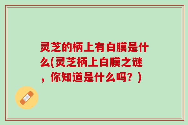 灵芝的柄上有白膜是什么(灵芝柄上白膜之谜，你知道是什么吗？)