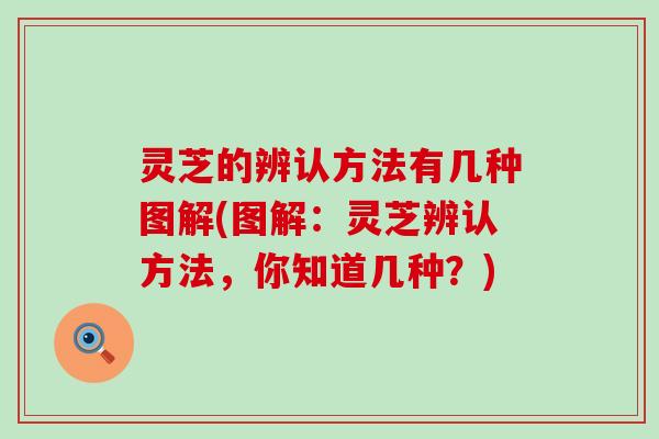 灵芝的辨认方法有几种图解(图解：灵芝辨认方法，你知道几种？)