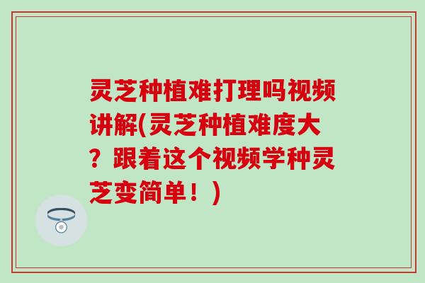 灵芝种植难打理吗视频讲解(灵芝种植难度大？跟着这个视频学种灵芝变简单！)