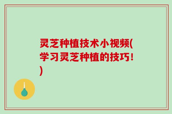 灵芝种植技术小视频(学习灵芝种植的技巧！)