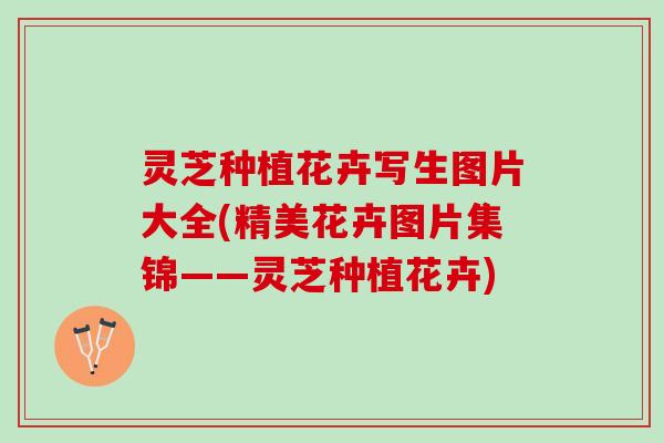 灵芝种植花卉写生图片大全(精美花卉图片集锦——灵芝种植花卉)