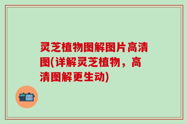灵芝植物图解图片高清图(详解灵芝植物，高清图解更生动)