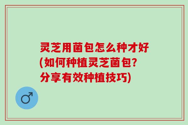 灵芝用菌包怎么种才好(如何种植灵芝菌包？分享有效种植技巧)