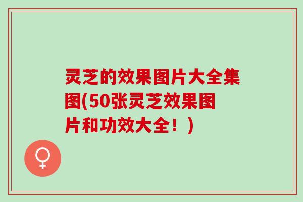 灵芝的效果图片大全集图(50张灵芝效果图片和功效大全！)