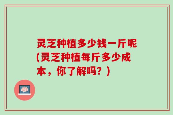 灵芝种植多少钱一斤呢(灵芝种植每斤多少成本，你了解吗？)