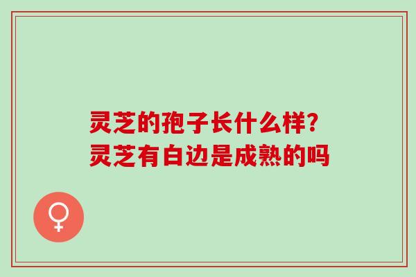 灵芝的孢子长什么样？灵芝有白边是成熟的吗
