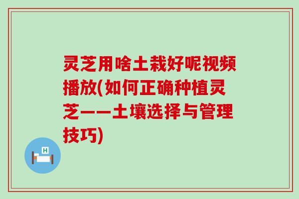 灵芝用啥土栽好呢视频播放(如何正确种植灵芝——土壤选择与管理技巧)