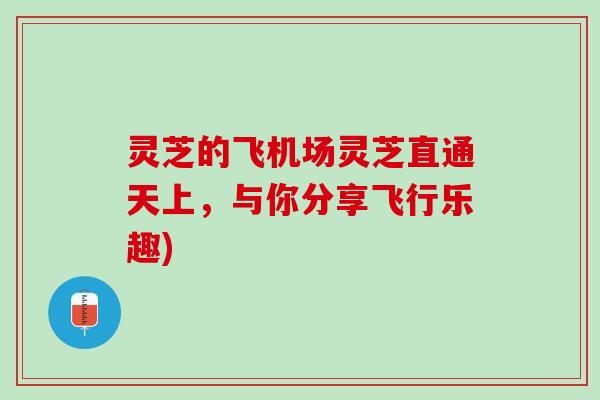 灵芝的飞机场灵芝直通天上，与你分享飞行乐趣)