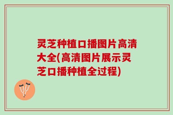 灵芝种植口播图片高清大全(高清图片展示灵芝口播种植全过程)