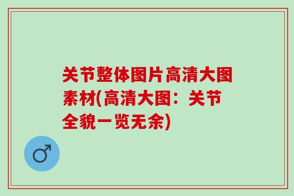 关节整体图片高清大图素材(高清大图：关节全貌一览无余)